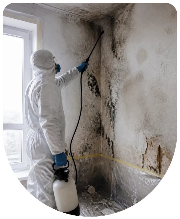 Профессиональное удаление грибка и плесени в Керчи